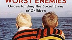 Cover of Best Friends, Worst Enemies: Understanding the Social Lives of Children