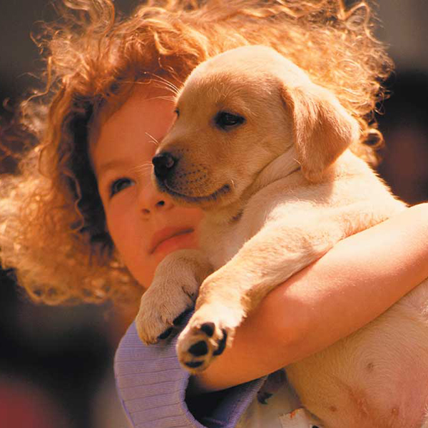 A new puppy can trigger an adoption conversation