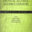 Cover of Adoption and Prenatal Alcohol and Drug Exposure