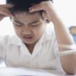 An adopted child is experiencing stress at school