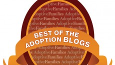 Badge for the best adoption blogs of 2011