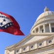 Arkansas flag, over the building where representatives decide Arkansas adoption laws