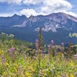 A scenic landscape in Colorado, representing Colorado adoption laws and policies