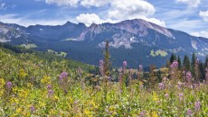 A scenic landscape in Colorado, representing Colorado adoption laws and policies