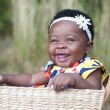 democratic republic of congo adoption