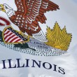 Flag of Illinois, where Illinois adoption laws apply