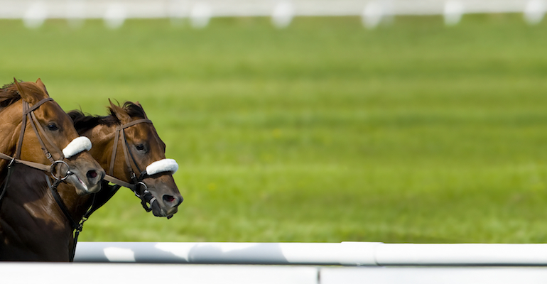 The Kentucky Derby, run in the state governed by Kentucky adoption laws