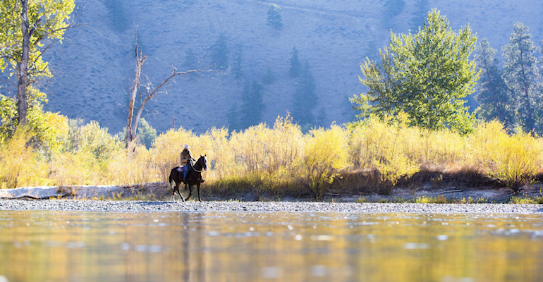 A horse and rider in a wilderness where Montana adoption laws may apply