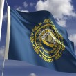 New Hampshire adoption laws