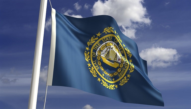 New Hampshire adoption laws