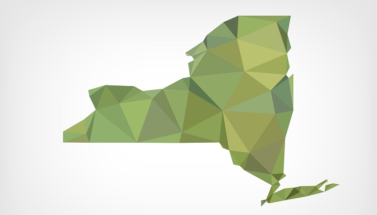 Understanding New York Adoption Laws and Policies