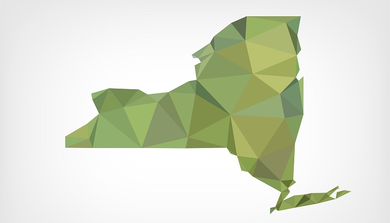 judicial consent adoption new york