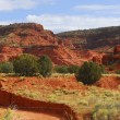Wilderness in New Mexico, where New Mexico adoption laws govern