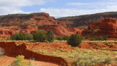 Wilderness in New Mexico, where New Mexico adoption laws govern