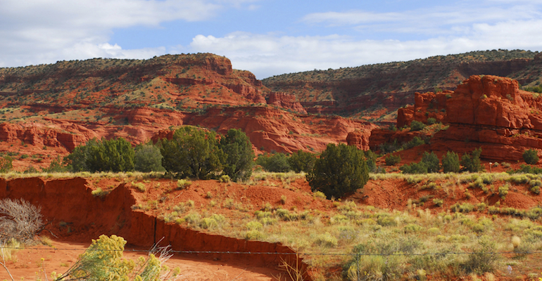 Wilderness in New Mexico, where New Mexico adoption laws govern