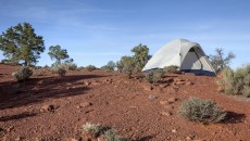 Summer camp in New Mexico, where an adopted girl could spend time recovering from trauma