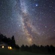 A night sky of stars, symbolizing journey from orphange to foster home to forever home