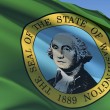 Washington Adoption Laws