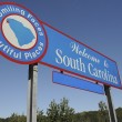 south carolina adoption laws