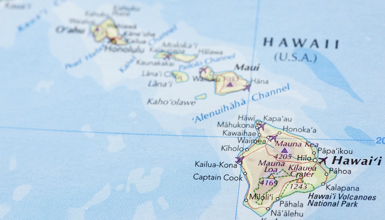 Hawaii adoption laws