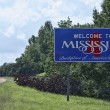 Mississippi adoption laws