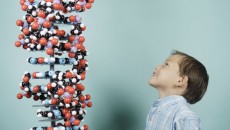 We look at the genetics of adoptive families.