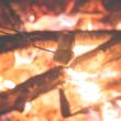 A child toasts marshmallows at culture camp