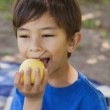Healthy eating for adopted children