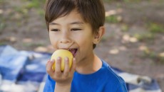 Healthy eating for adopted children