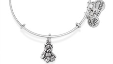 Alex and Ani Bangle Silver