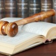2015 adoptee rights initiatives