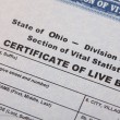 Ohio State Birth Certificate
