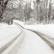 Snowy road representing birth mother grief