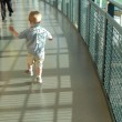 A young toddler at his birth mother's graduation