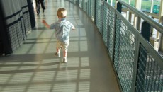 A young toddler at his birth mother's graduation