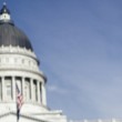 State adoption laws update