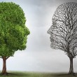 Adopting with a Mental Health Disorder