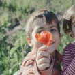 Twin boy and girl smelling flower, to represent selecting gender in adoption