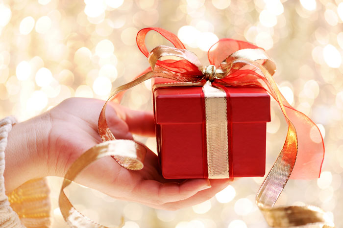 Holiday Gift Guide