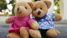 Teddy bears, representing the children's book Little Cub