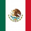 Flag representing Mexico adoption