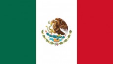 Flag representing Mexico adoption