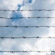 Barbed wire, symbolizing the book Prison Baby