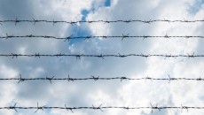 Barbed wire, symbolizing the book Prison Baby
