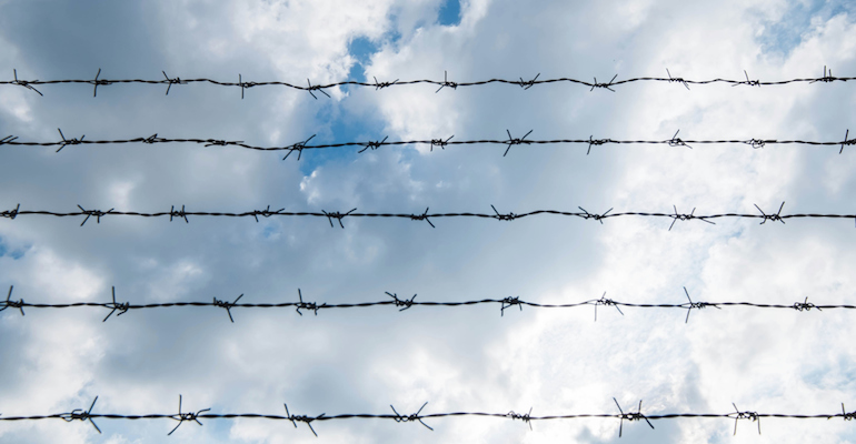 Barbed wire, symbolizing the book Prison Baby