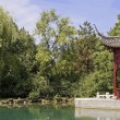 A nature scene in China, representing the mixed emotions of declining a referral in adoption