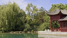 A nature scene in China, representing the mixed emotions of declining a referral in adoption