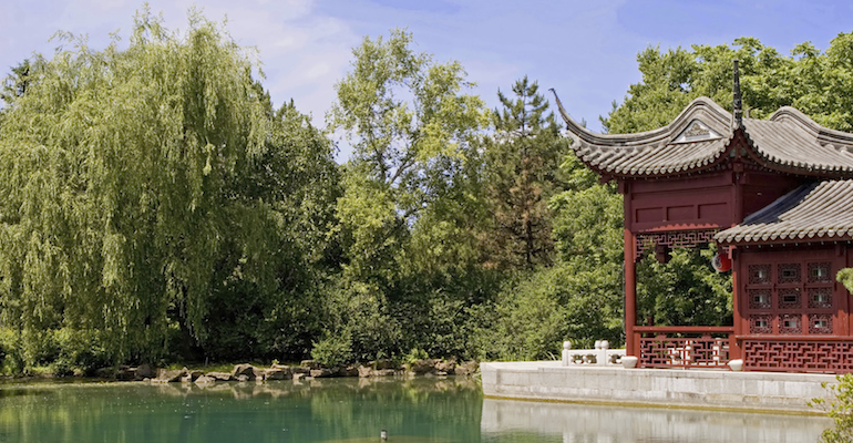 A nature scene in China, representing the mixed emotions of declining a referral in adoption