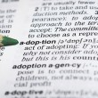 adoption terms