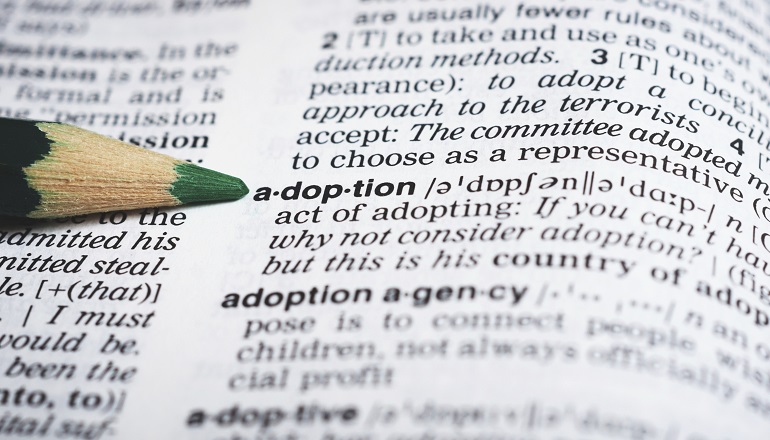 adoption terms